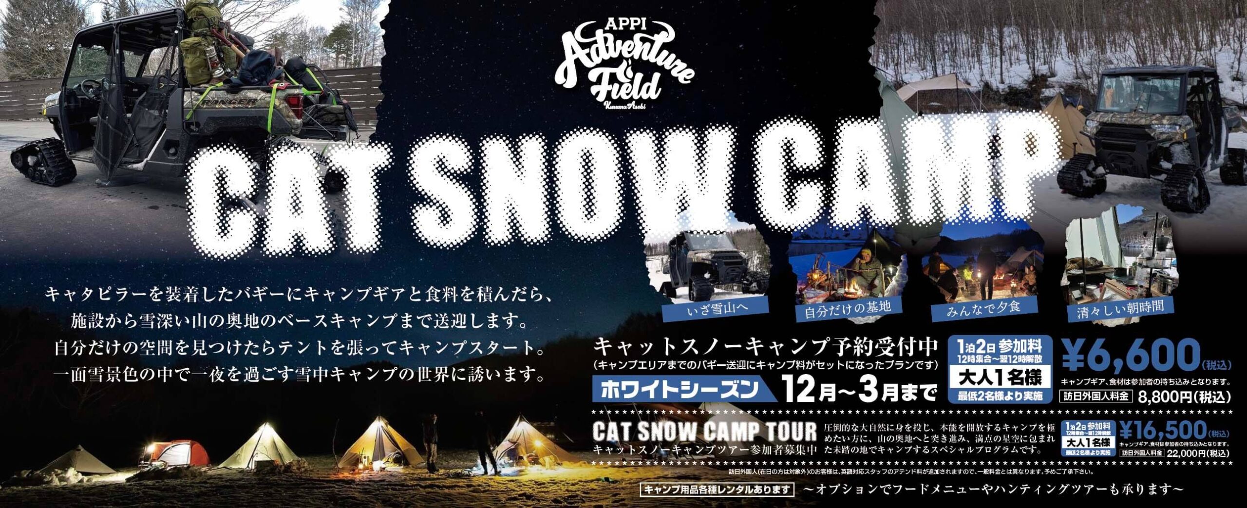 CAT CAMP TOUR