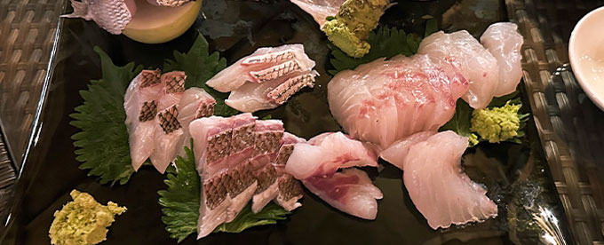 真鯛祭り✨🎣