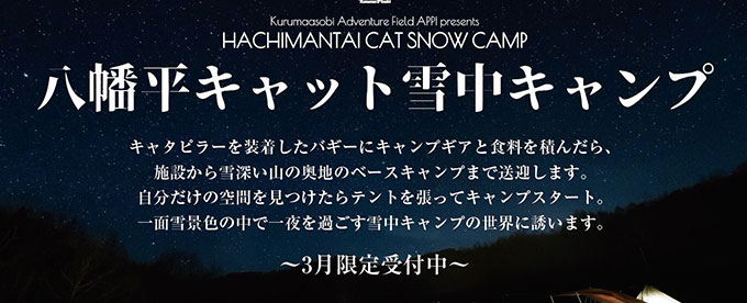 キャットスノーキャンプ